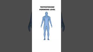 Testosterone Through the Ages: What You Need to Know #testosteronelevels #hormonelevels