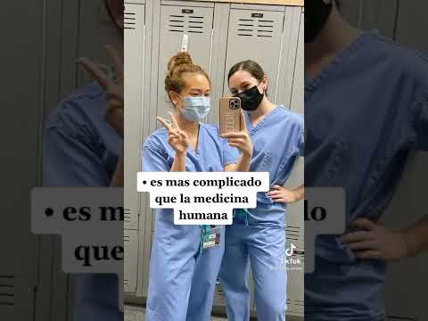 🐕•Cosas que no sabías sobre estudiar veterinaria•🐕 Duración de la carrera de veterinaria: ¿Cuántos años son necesarios?