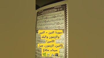 سورة التين – التين والزيتون والبلد الأمين!(التين، الزيتون، جبل سيناء، مكة)🌿🥑⛰️🕋