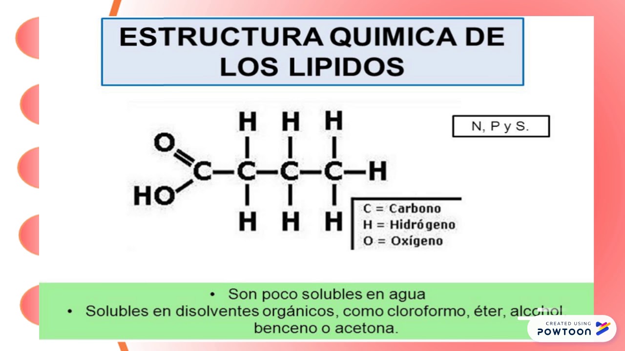 Powtoon Biologia Celular Animacion 1 Pptx