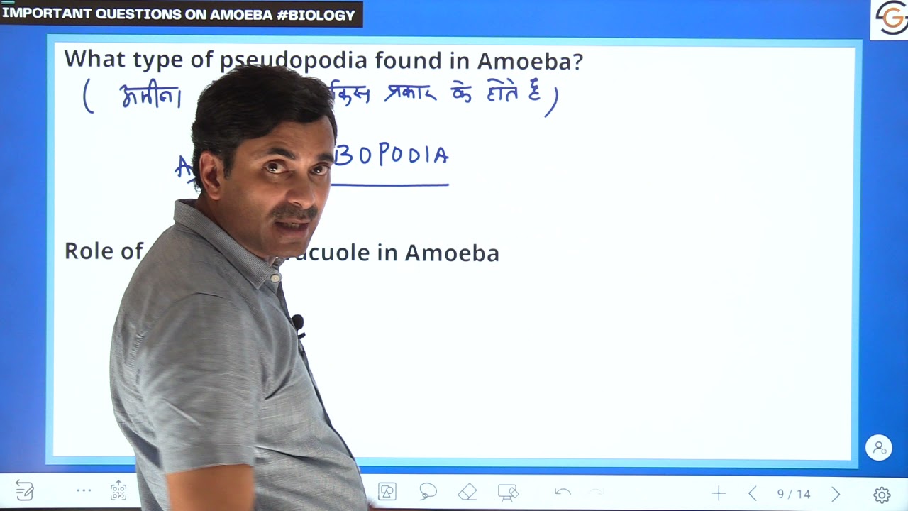 Amoeba | Important Questions - Vigyan Express #153 | DR. N.S. JAIN