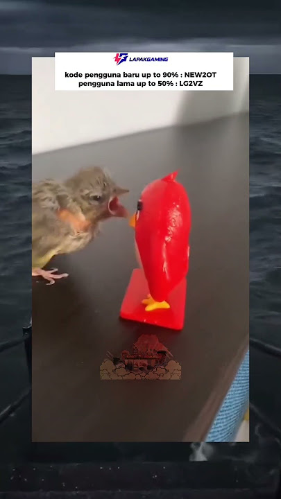 apa dia cakap tuh raju? #shorts