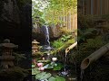 Zen Water &amp; Piano Music 🌸 Instant Stress Relief &amp; Deep Calm #shorts