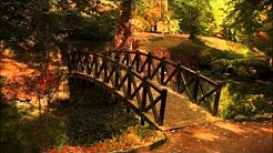 Friso Incredible Journey (Full Song) - Durasi: 3:58. Friso Incredible Journey (Full Song) - Durasi: 3:58.