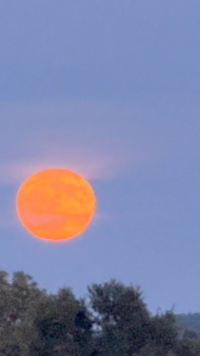 Pink Moon beautiful life