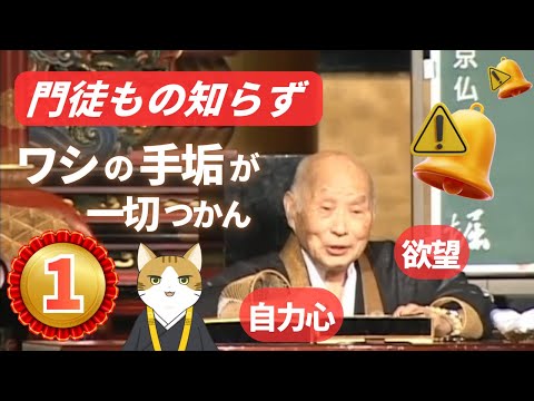 稲城選惠和上 ご法話 DVD ～「後生の一大事」を心にかけて～ 稲城選恵