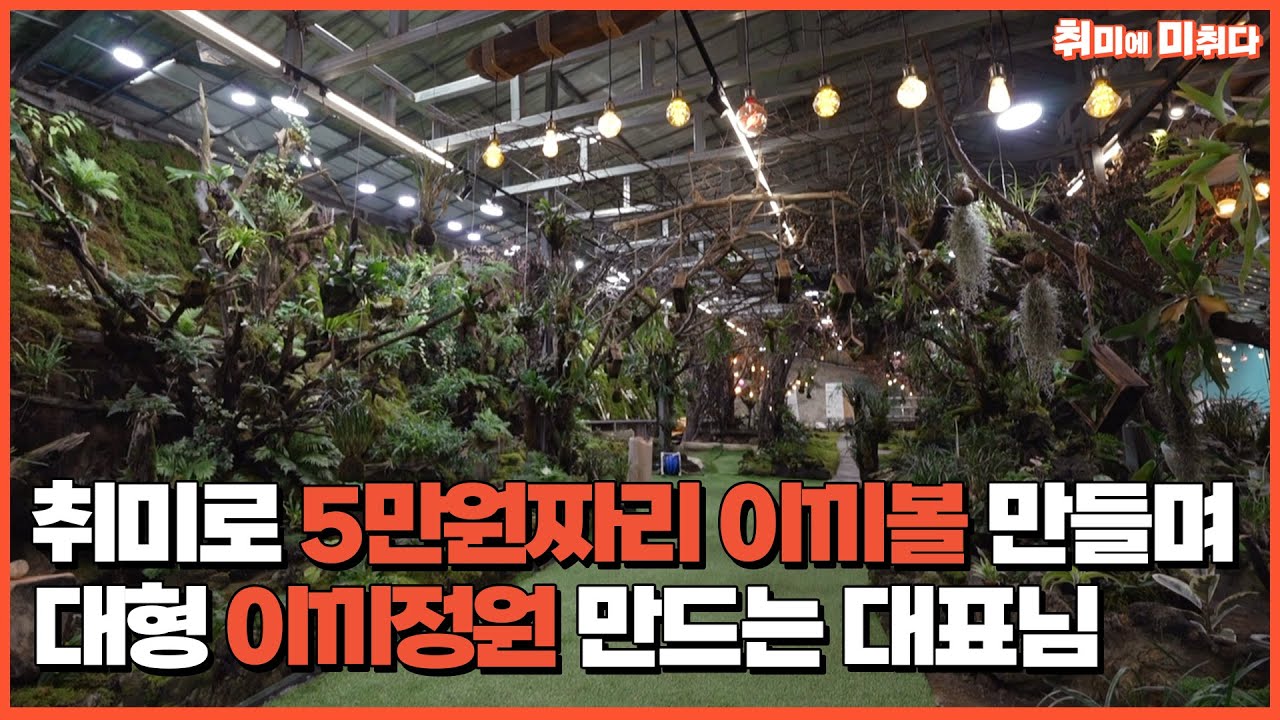 지리산에서 취미로 대형 이끼 정원 만드는 자연인/지리산오도재/이색취미/취미에미취다