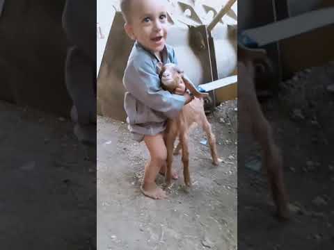 اصغر جزار مع اصغر ضحيه الحاج ايمن ابو حاتم 