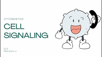 Cell Signaling | An Overview