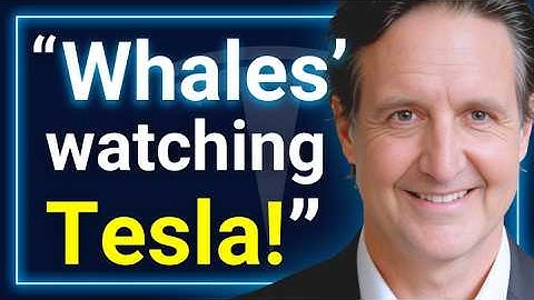 EXCLUSIVE: Wall Street Just Realized Tesla Won Robotaxi