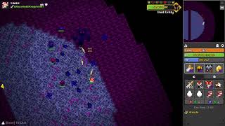 RotMG - Petless Duo Void ft. iKenshi