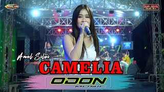 CAMELIA -  AMEL SILVI - ODON MUSIC - ANI JAYA - LARAS PRO