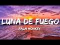 Palm Monkey - Luna De Fuego (Lyrics)