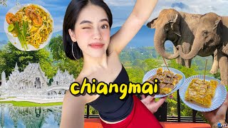 exploring northern thailand  | chiang mai & chiang rai | bomb street food, elephants, temples!