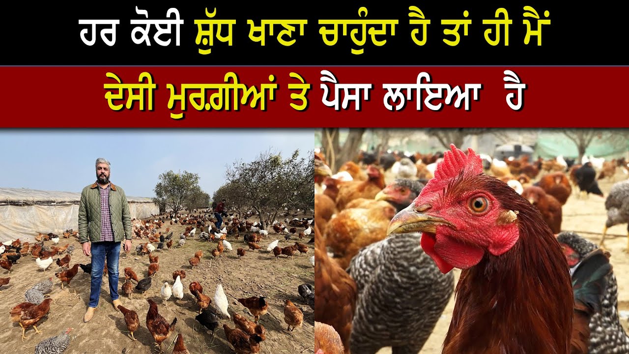ਹਾਈ ਕੋਰਟ ਦੇ ਵਕੀਲ ਨੇ ਪਿੰਡ ਆ ਕੇ ਖੋਲਿਆ ਦੇਸੀ ਮੁਰਗ਼ੀਆਂ ਦਾ ਫਾਰਮ