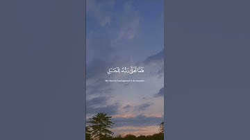 قَالَ رَبِّ أَرِنِي أَنظُرْ إِلَيْكَ [ سورة الأعراف ] .. للقارئ : ادريس ابكر