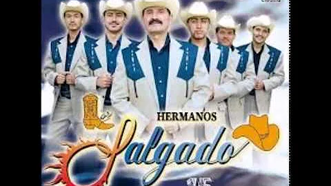 Los Hermanos salgado  14 corridos
