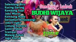 Gendhing² Saweran Ludruk Budhi Wijaya, Tehaje Audio