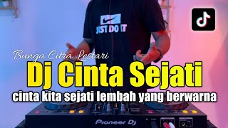 DJ CINTA KITA SEJATI LEMBAH YANG BERWARNA - CINTA SEJATI FULL BASS 2023