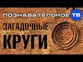 Загадочные круги на башнях Новгородского Кремля (Познавательное ТВ, Артём Войтенков)