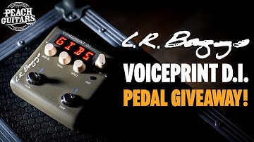 L.R. Baggs Voiceprint DI *GIVEAWAY!*