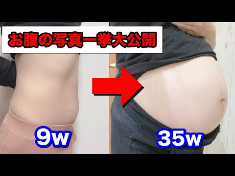 【妊婦のお腹の変化】妊娠初期から現在までのお腹／妊娠ドキュメンタリー