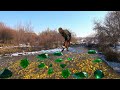 Mining Gold &amp; Emeralds in a Frozen River – Unbelievable Discovery!