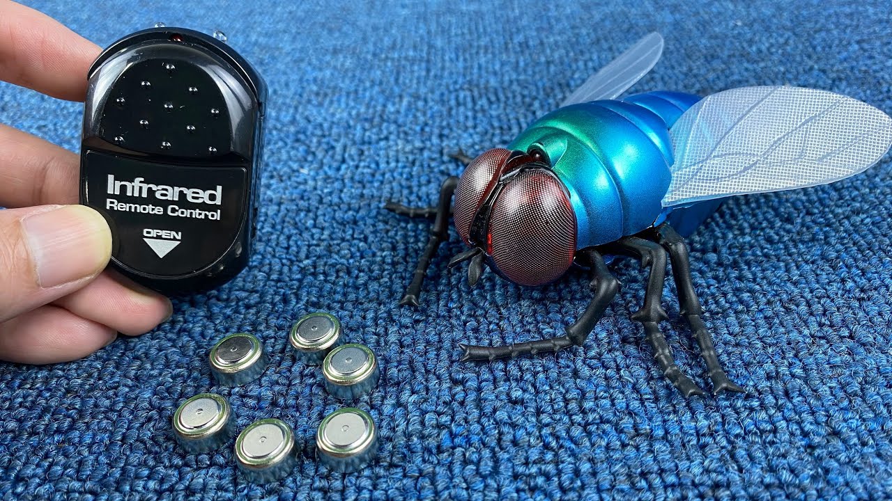 Rc Fly Insect 10 Mins Unboxing RC Insect Big Flies, New Energy Concept RC Racing Car ...