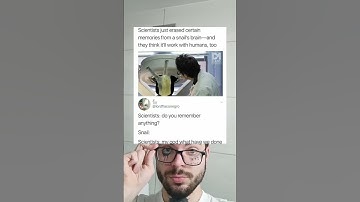 Scientists just erased certainmemories from a snail