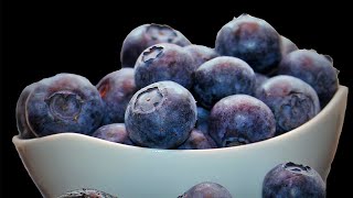Oil Painting Study: Blueberries Still Life