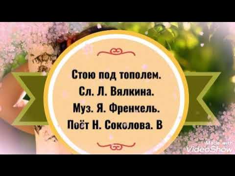 девушка на лесной тропинке. слушать стою под тополем грызу. слова песни стою под тополем. слова песни стою под тополем грызу травиночку. стою под тополем грызу травиночку.