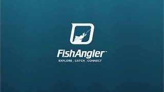 FishAngler Quick Tips: News Feed