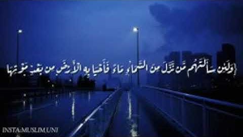{{ ولئِن سَألتهُم مَن نزل مِن السَّماء ماء}} تلاوة هادئة أرح قلبك بصوت القارئ عبد الرحمن مسعد