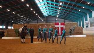 SVT 3 Kür Billund 17.03.13