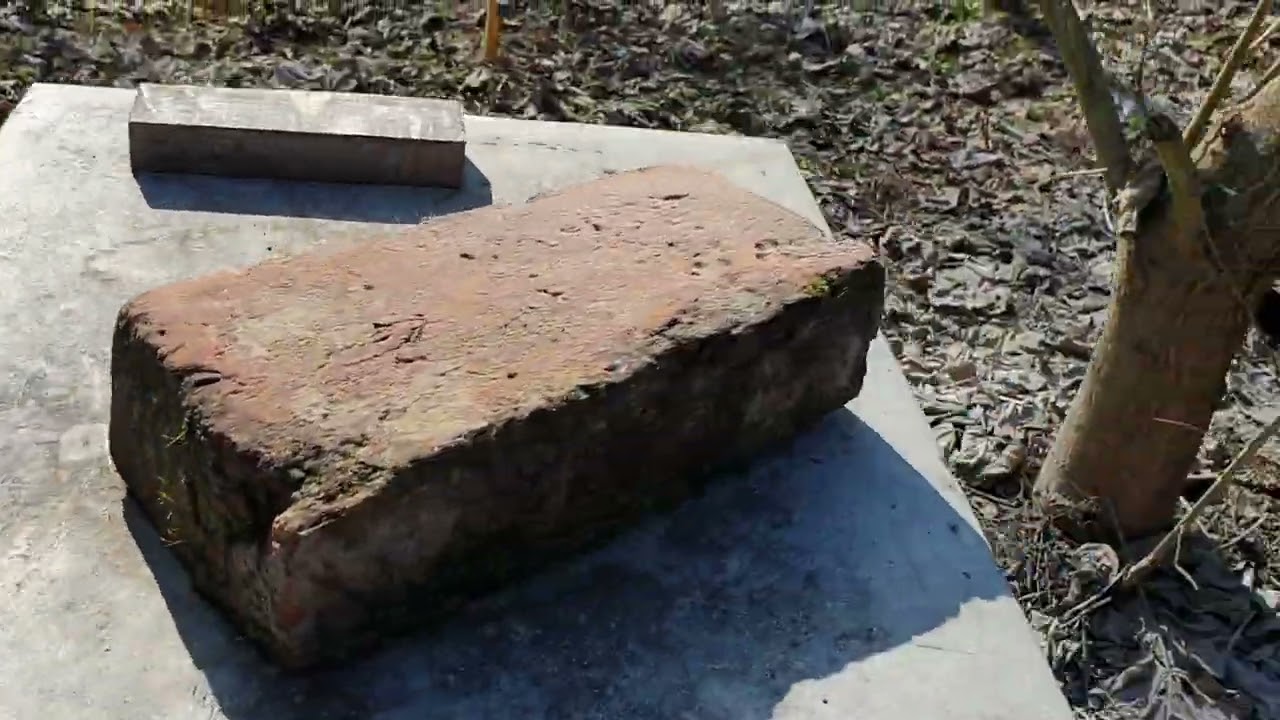 KRECE LEGLO BACAJTE PEPEO.11.02.2022.