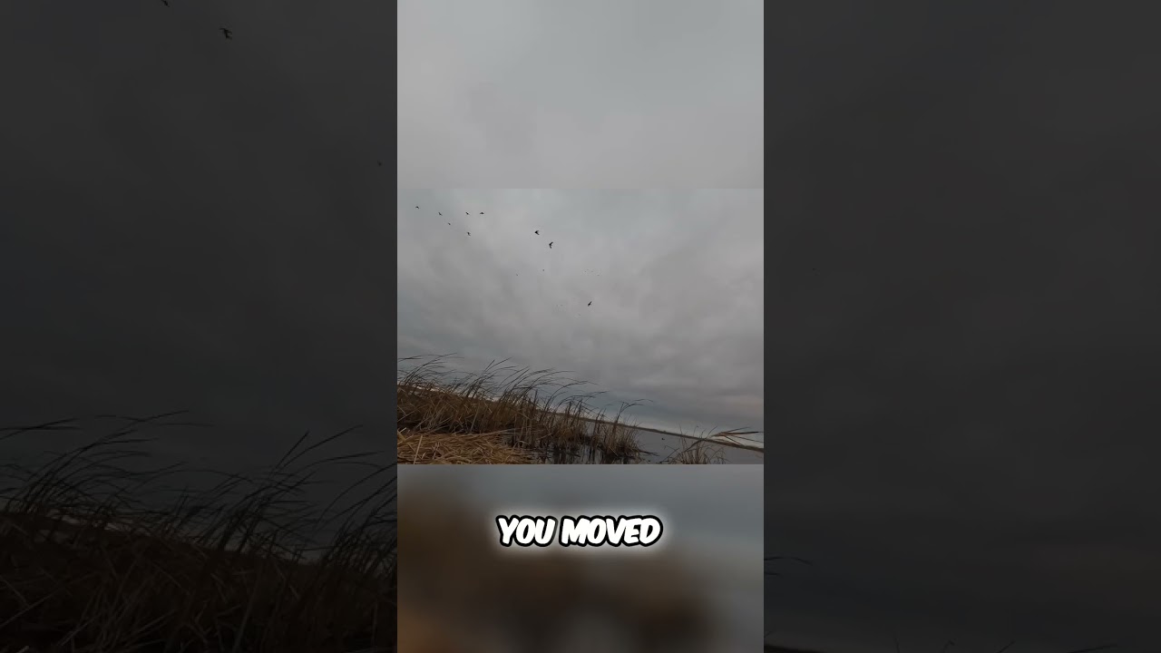 Duck Hunting Fails: This Hilarious Scene Will Make You Laugh! 