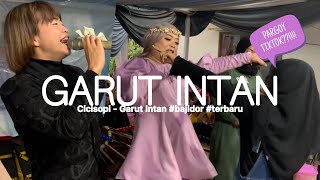 Pargoy tiktok di panggung?!! Cicisopi - Garut Intan #bajidor #terbaru
