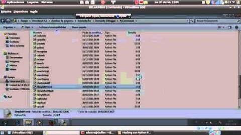 Hacking con Python - Parte XXX Scripting en Inmmunity Debugger – PyHooks