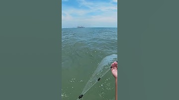 lò cá đục anh em ơi #Shorts