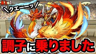 新キャラに大苦戦！？9月のチャレダン8に挑んでみたが…【パズドラ】