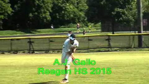 AJ GALLO - NC STING Baseball 2012 - Reagan High Sc...