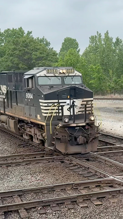 RR Diamonds & Train Horn!  What Could Be Better?!  Norfolk Southern Railroad, JawTooth shorts