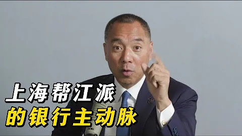 上海幫江派的銀行主動脈；興業銀行動了韓氏家族就完了，上海銀行動了孟建柱、王岐山、江家就完了。 - 天天要聞