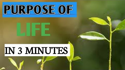 Purpose Of Life In 3 Minutes|| Abu Bakr Zoud