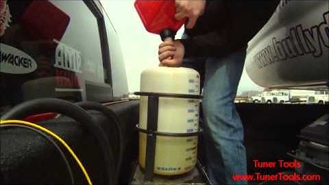 Bully Dog: The WatchDog