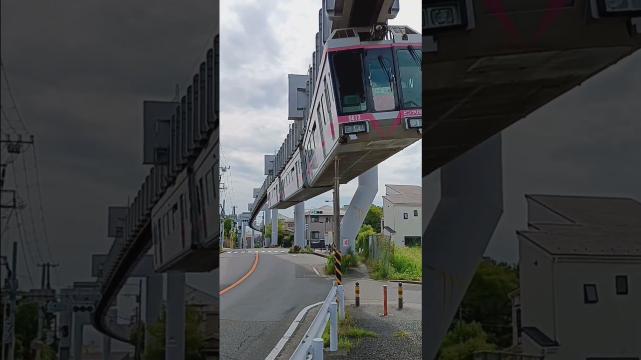 Upside Down Monorail Train Japan