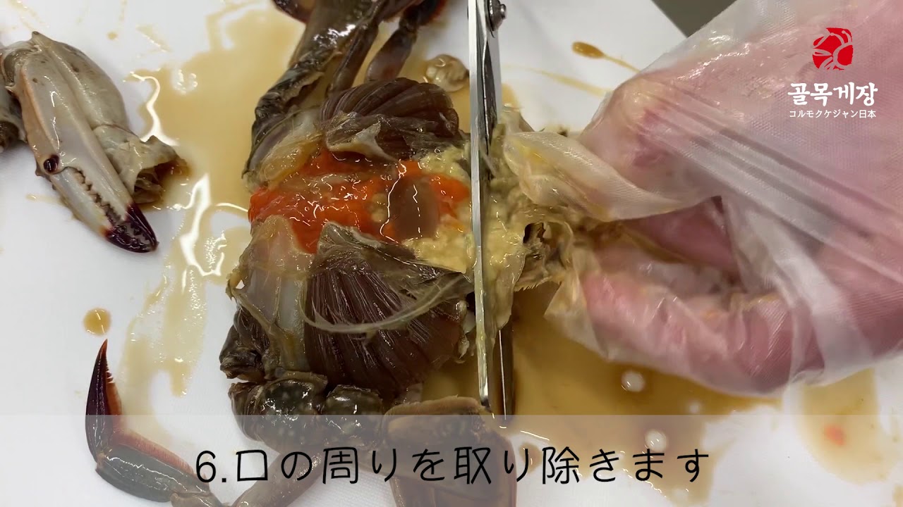 カンジャンケジャンさばき方 コルモクケジャン日本 Youtube カンジャンケジャンさばき方 コルモクケジャン日本 Youtube