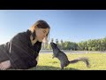 Mexican squirrel wants to kiss me! 🇲🇽 | Diaries of a Wildlife Photographer 📷
