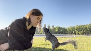 Mexican squirrel wants to kiss me!  Parque Tangamanga. San Luis Potosi, Mexico