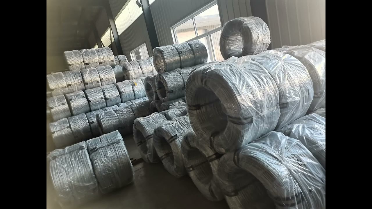 Electro Galvanized Steel Wire